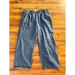 Mollusk Surf Shop California Cotton Chambray Pant Blue S Elastic Waist Denim